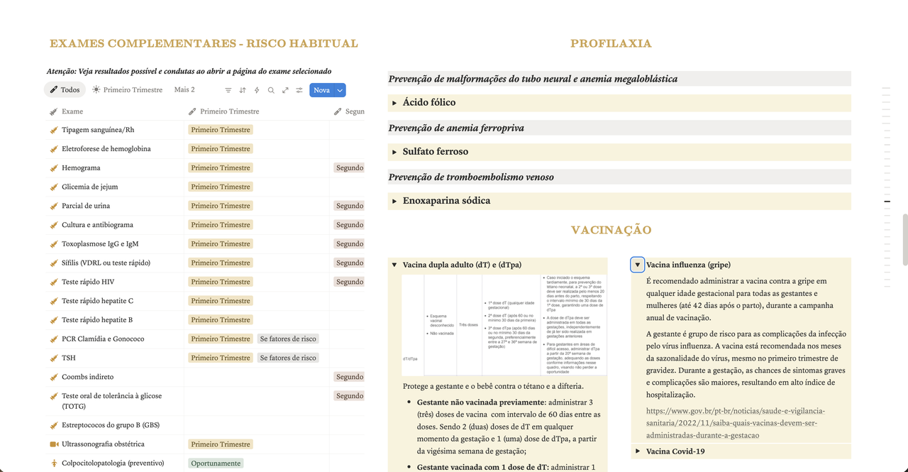 Primeiro Trimestre — Profilaxia e vacinação