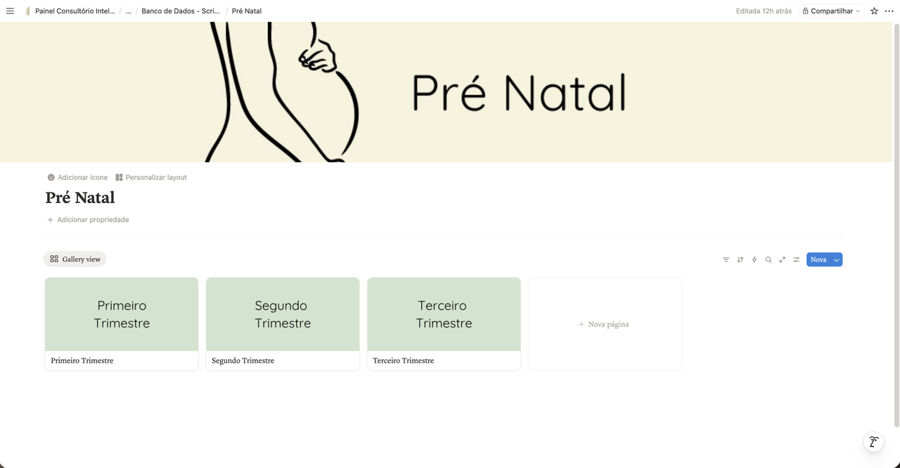 Pré-Natal organizado por trimestre